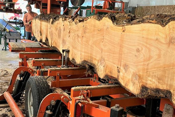 Patrick Lumber Manufacturing Adds Sawmill to Philomath Operations
