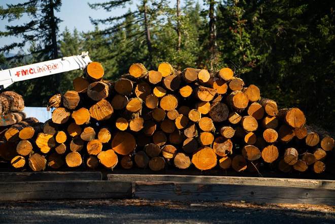 Longer Lengths, Fewer Seams: Why 16-Foot Alder Changes the Game
